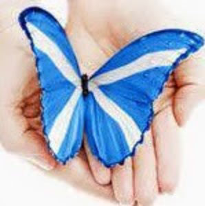 Meet your Posher, Joanna